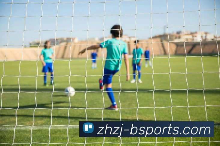 B体育BsportsAPP 封面图